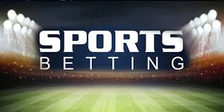 Discovering 11kk bet The Future of Online Betting Discovering 11kk bet The Future of Online Betting